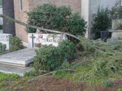 Al cimitero Flaminio furti, degrado e cinghiali tra lapidi: “Così nostri cari muoiono due volte”