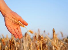 Alimenti, medici ambiente: “Sicurezza cibo chiave controllo migrazioni”