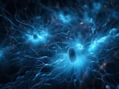 Alzheimer, nel grasso la spia della malattia 15 anni prima della perdita di memoria