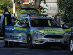 Auto contro i cancelli di Buckingham Palace, un arresto