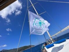 Black Friday, sconti pazzi e più CO2 ma in arrivo una Green Week