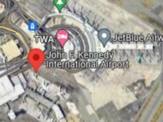 Cavallo si libera su un aereo, serve atterraggio d’emergenza