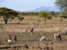 Cesvi: “In Africa le persone denutrite aumenteranno da 282 a 298 milioni nel 2030”