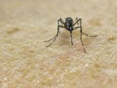 Chikungunya, vaccino in Italia dal 30 ottobre