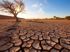 Clima, per 90% italiani cambiamento è minaccia per salute globale