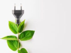 Consumi energetici stabili, ma emissioni al -8%: gli effetti benefici delle rinnovabili