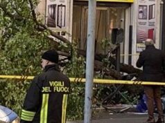 Donna uccisa da platano a Roma, l’agronomo: “Alberi troppo vecchi, fare come a Parigi”