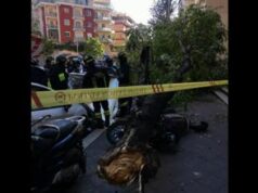 Forte vento su Roma, cade albero a Monteverde: morta una donna