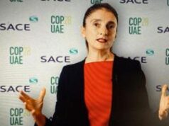 Sostenibilità, Sace presenta la sua nuova Strategia Esg