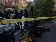 Uccisa da albero caduto a Roma, il legale: “Il Comune è civilmente responsabile”