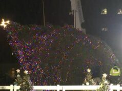Usa, cade l’albero di Natale della Casa Bianca: colpa del forte vento
