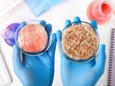 Carni sintetiche, favorevoli e contrari a confronto