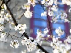 Dedicare equinozio di primavera al calabrese Lilio, proposta di legge Lega