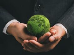 Dirigenti attenti alla sostenibilità: perché è importante la DNF
