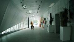 Disabilità, The Guide Project: piattaforma digitale accessibile ai lavoratori ciechi