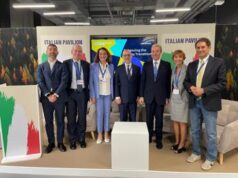 Energia, italiani poco consapevoli su opportunità transizione