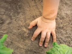 Giornata mondiale del suolo: un appello per la salute della terra