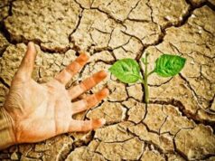 Il cambiamento climatico potrebbe ridurre il Pil mondiale di oltre il 4%