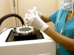 Ricerca: nuova tecnica per cromosomi artificiali, ‘svolta nell’ingegneria genetica’