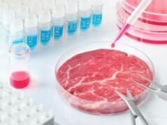 Stop carne sintetica, Mattarella promulga legge ma Italia rispetterà Ue