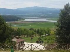 Tra vette maestose e boschi secolari, la Sila e le sue ‘Fattorie aperte’ a Geo