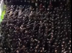 Acca Larentia, Schlein: “Inaccettabile ciò che è accaduto. Subito interrogazione a Piantedosi”