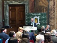 Alimenti, Poli (Nfi): “Rischio malattie da carne rossa? Da studi visione semplificata”