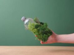 Biodiversità, pubblicati gli standard aggiornati dal Global Reporting Initiative