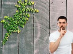 Che cosa è il green hushing e perché è un problema