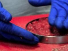 Coldiretti, c’è maggioranza qualificata in Ue su stop carne coltivata