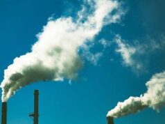 Decarbonizzare costa poco, la scoperta inglese