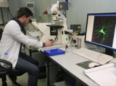 Epatite B, speranze dall’immunoterapia: a Milano primi test al mondo