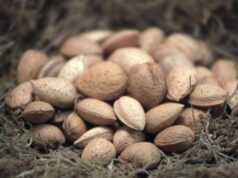 Frutta in guscio protagonista al Sigep con campagna Masaf-Ismea