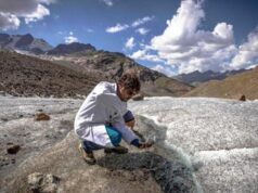 Greenpeace: trovate microplastiche sui ghiacciai dei Forni e del Miage