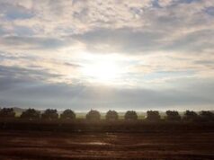 Israele-Gaza, Idf: “Decine membri Hamas uccisi, anche comandanti forza d’elite”