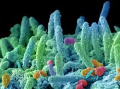 Allarme superbatteri resistenti, infettivologi: “In Italia 11mila morti all’anno”