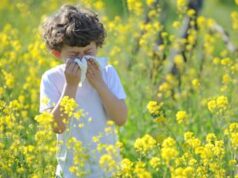 Allergie si parte, l’immunologo: “Stagione già iniziata, a tavola prima difesa”