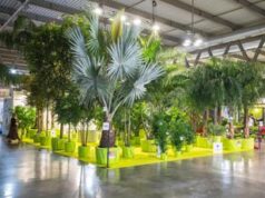 Brusa (Confagricoltura): “Da florovivaismo 3,1 mld di fatturato nel 2023”