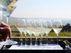 Champagne, da vigneron e Maison fiducia per il 2024 e nuovi impegni di filiera