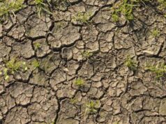 Clima, a rischio 1 pmi su 4, in zone vulnerabili più esposte a fallimento