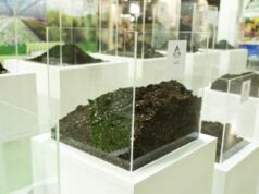 De Matteis (Comune di Milano): “Trattamento suolo e gestione acque temi centrali”