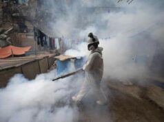 Dengue, stato di emergenza sanitaria in 20 regioni del Perù