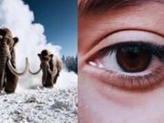 OpenAI svela Sora: la nuova frontiera dei video generati da IA