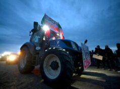 Protesta agricoltori, i trattori oggi tornano a Roma