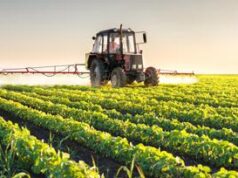 Syngenta Italia, nuovo video istituzionale sulla storia di innovazione al fianco degli agricoltori italiani