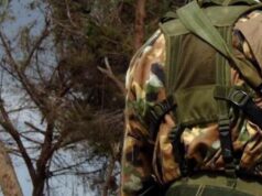 Tajani: “Serve esercito europeo, essere credibili nella Nato”