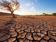 Temperature oltre la media, siccità ed eventi estremi: allarme clima in Europa