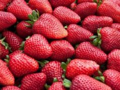 Alimenti, Ismea: nel 2023 inflazione morde meno nel bio +5,2% e tiene nei volumi +0,2%