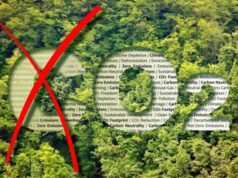 CarpeCarbon, perché il progetto italiano per catturare la CO2 è diverso da tutti gli altri