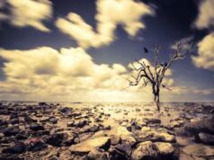 Clima, Consulcesi: “Contro negazionismo ed eco-ansia più formazione”